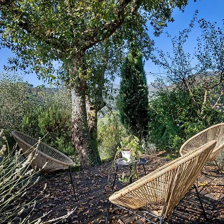 Casa Lavanda * Camaiore